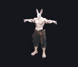 The rabbit warrior, textured