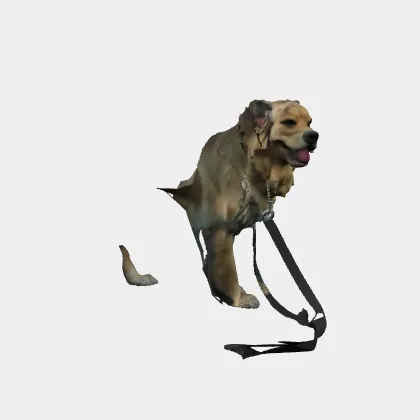 The 3D model made from it, with the leash fused to the legs