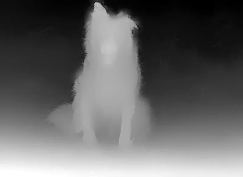 Its depth map: the dog and the near ground are light, the far field fades to dark